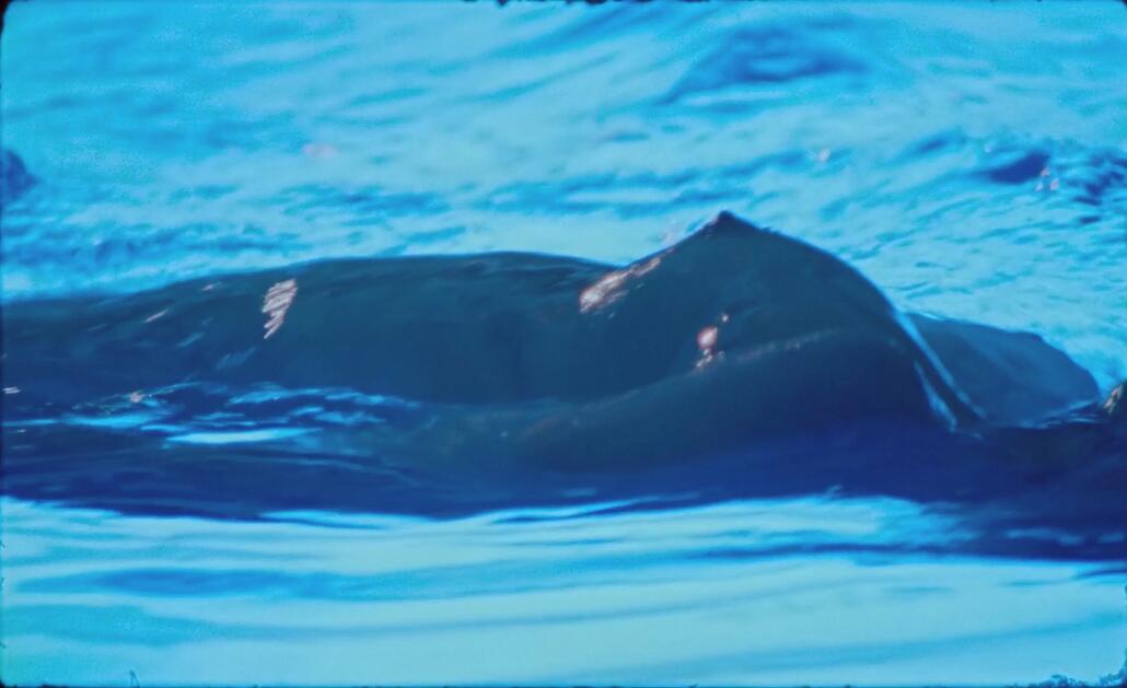 Imogen Poots Nude In The Chronology of Water (16)
