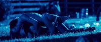 Christina_Ricci_-_Black_Snake_Moan_-_2_1.jpg