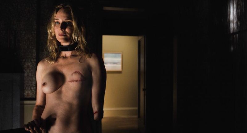 Diane Kruger nude (11)
