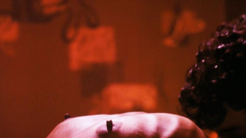 Lisa Bonet Nude (16)
