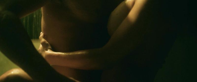 Martha Higareda nude (5)
