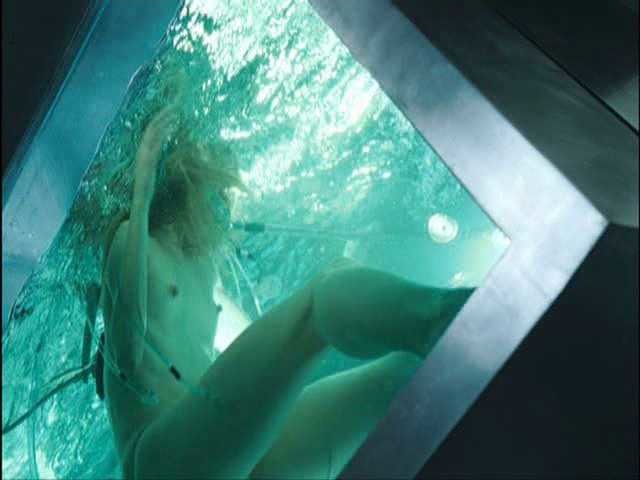 Milla Jovovich Nude (9)
