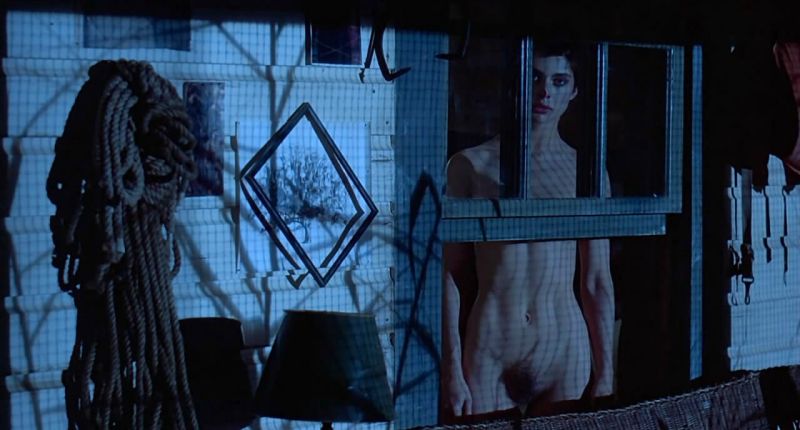 Nastassja Kinski nude (26)
