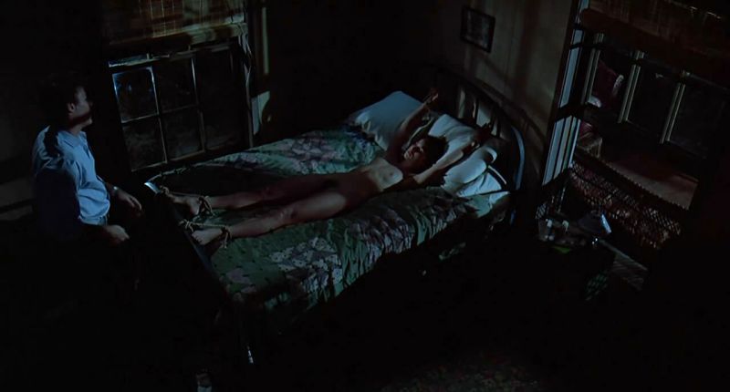 Nastassja Kinski nude (28)
