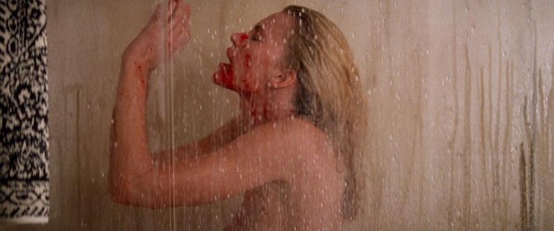 Natasha Henstridge nude (12)
