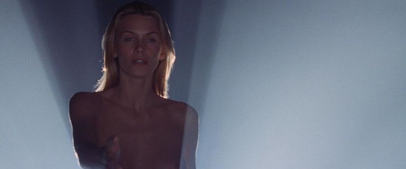 Natasha Henstridge nude (20)
