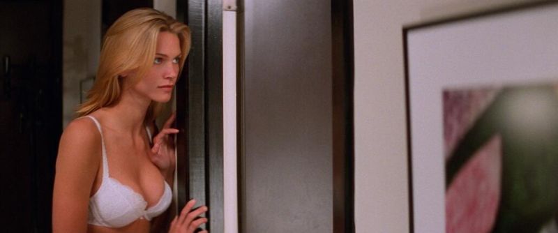 Natasha Henstridge nude (8)
