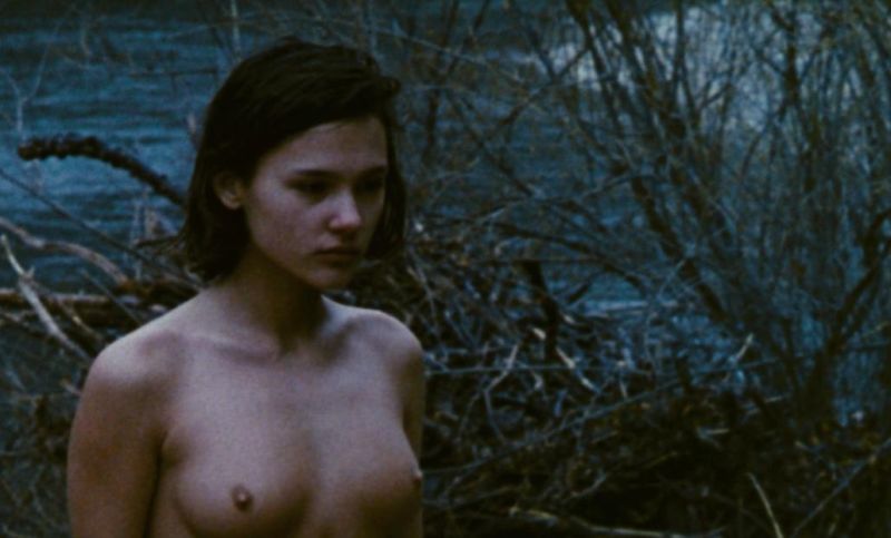 Virginie Ledoyen nude (1)
