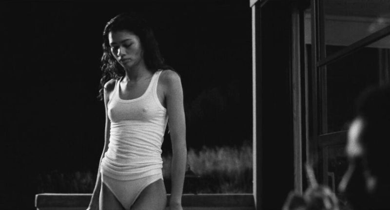 Zendaya nude (11)
