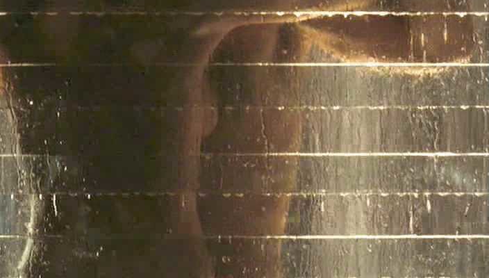 Bridget Moynahan nude (3)
