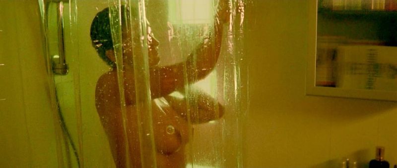 Monica-Bellucci-Irreversible-8_3.jpg